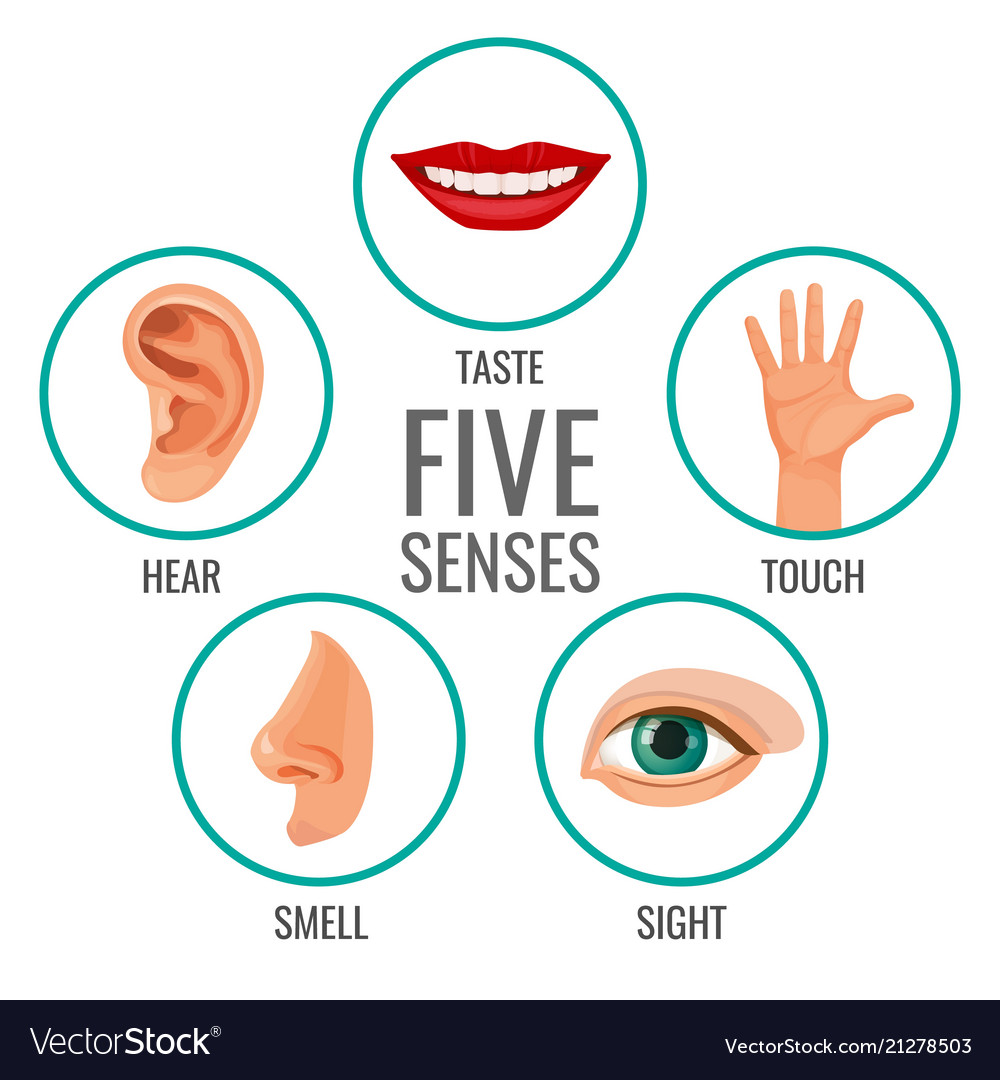 Five Senses Human Perception Poster Icons Vector Image