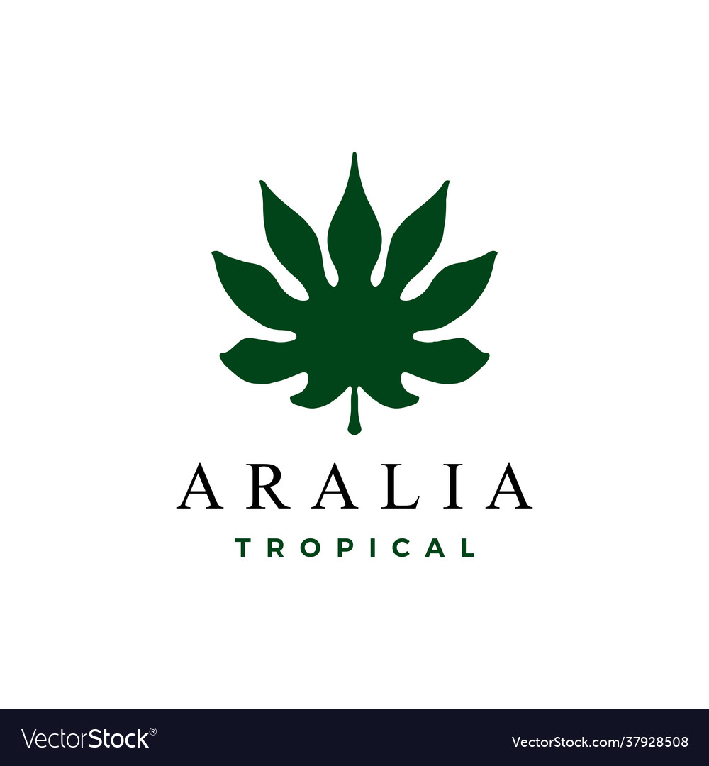 Aralia leaf logo icon