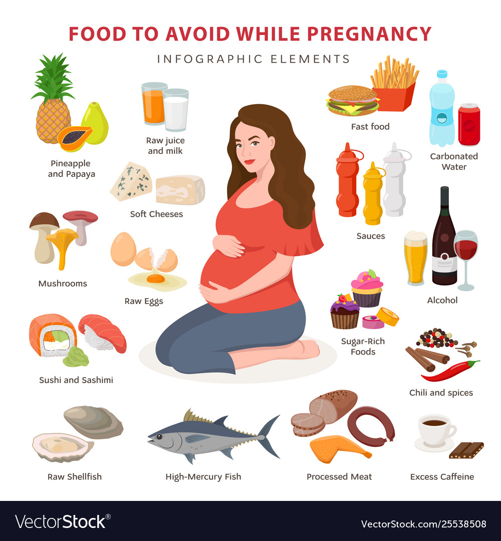 Bad foods while pregnancy infographic elements Vector Image