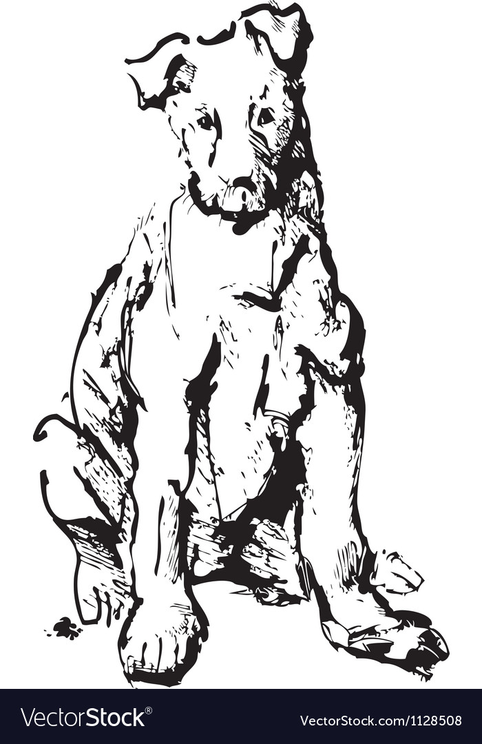 Ink sketch of dog - young terrier black and white