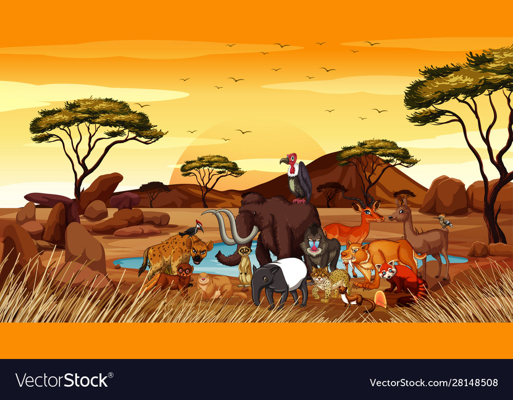 Scene with many animals in field Royalty Free Vector Image