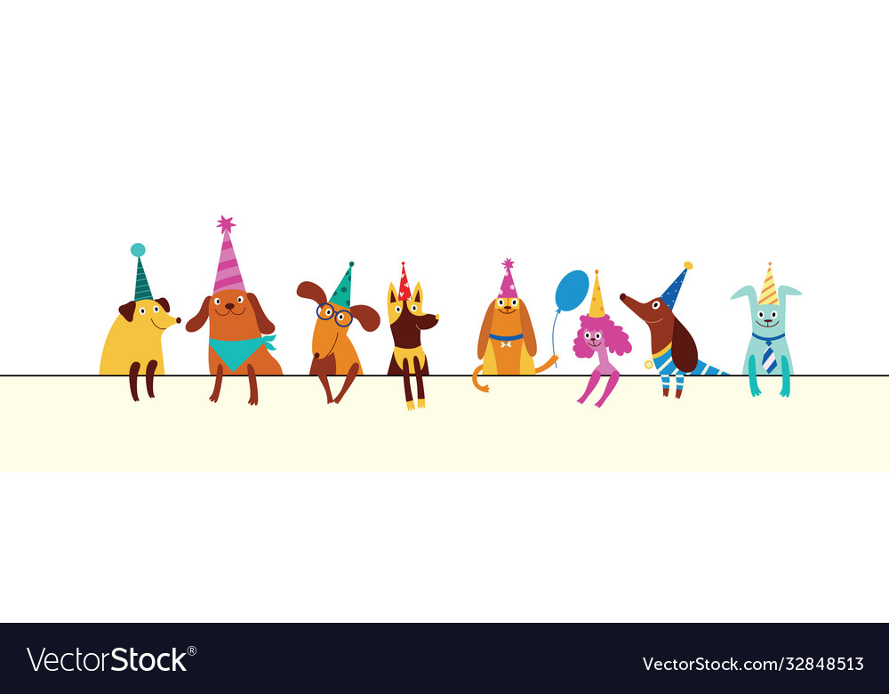 Funny dogs different breeds in cones hats Vector Image