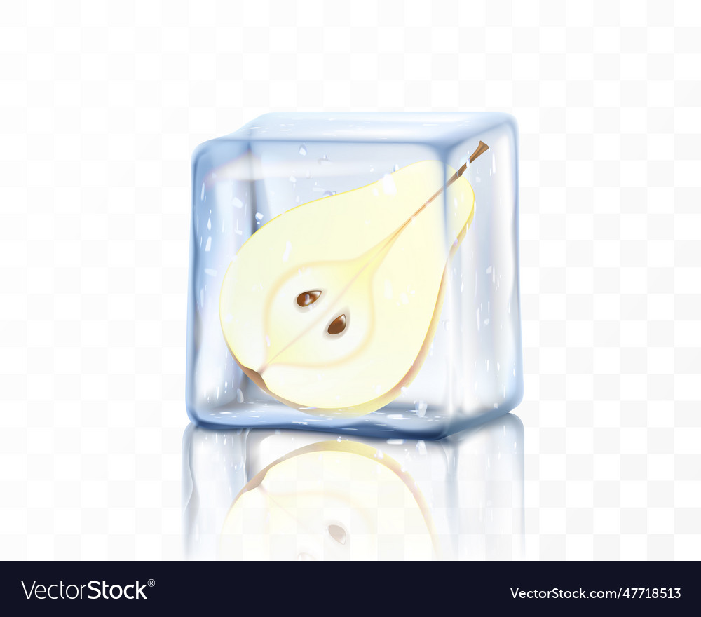 Half of a fresh ripe pear in an ice cube isolated vector image Half of a fresh ripe pear in an ice cube isolated