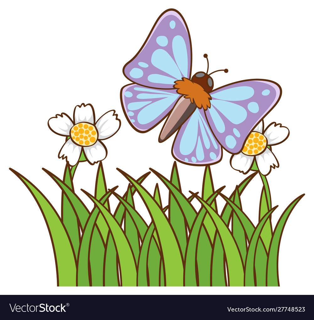 Blue butterfly on white background Royalty Free Vector Image