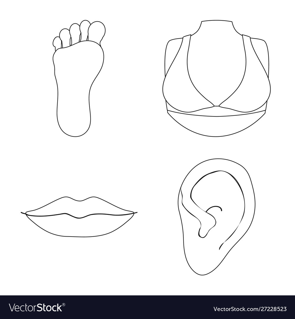 Isolated object body and part symbol vector image Isolated object body and part symbol