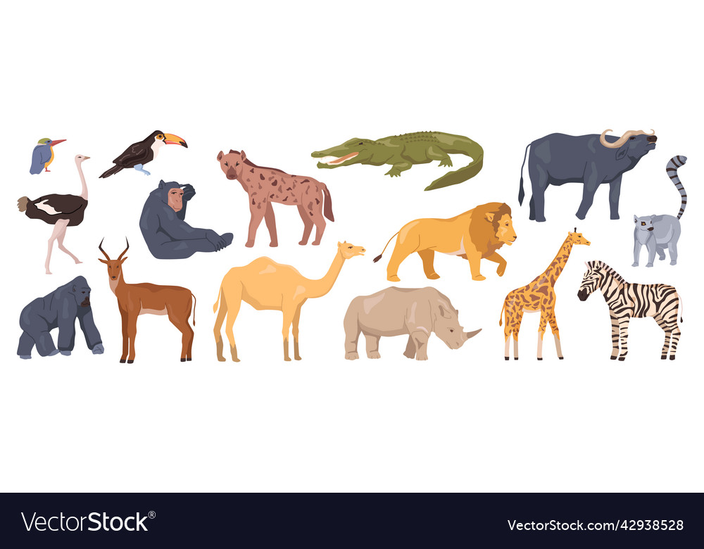 African animals in nature reserve bio park Vector Image