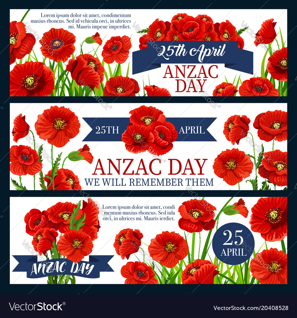 Anzac Day Red Poppy Flower Festive Banner Design Vector Image