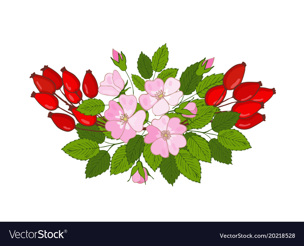 Brier bouquet of flowers and berries branch