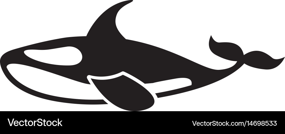 Orca whale isolated icon Royalty Free Vector Image