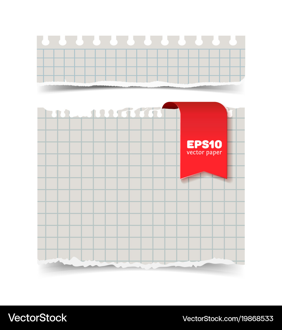 Torn piece of squared paper isolated Royalty Free Vector