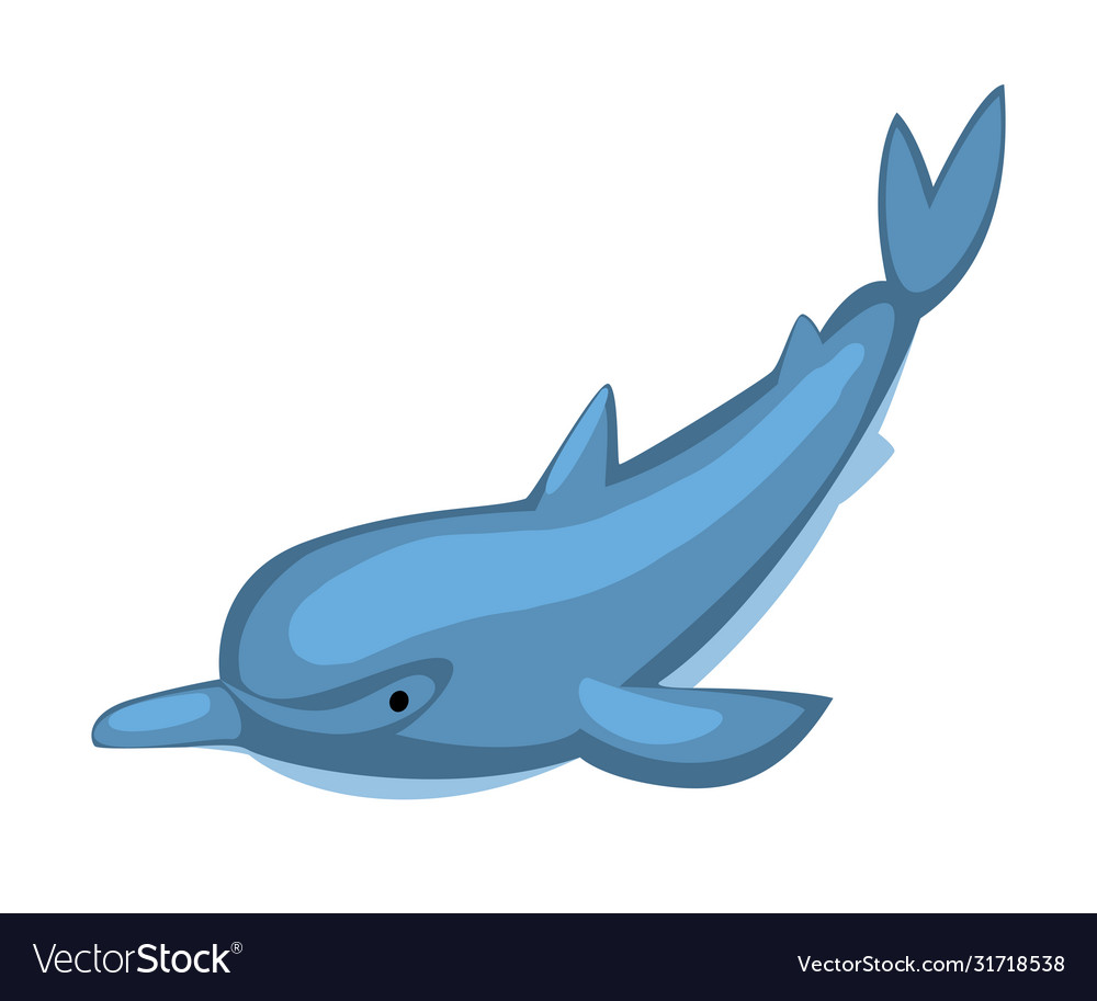 Dolphin fish marine life element sea or ocean