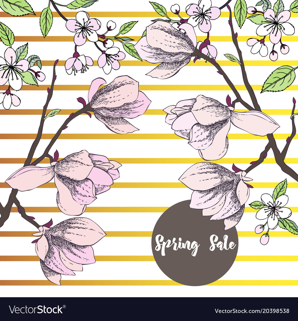 Spring sakura and magnolia background