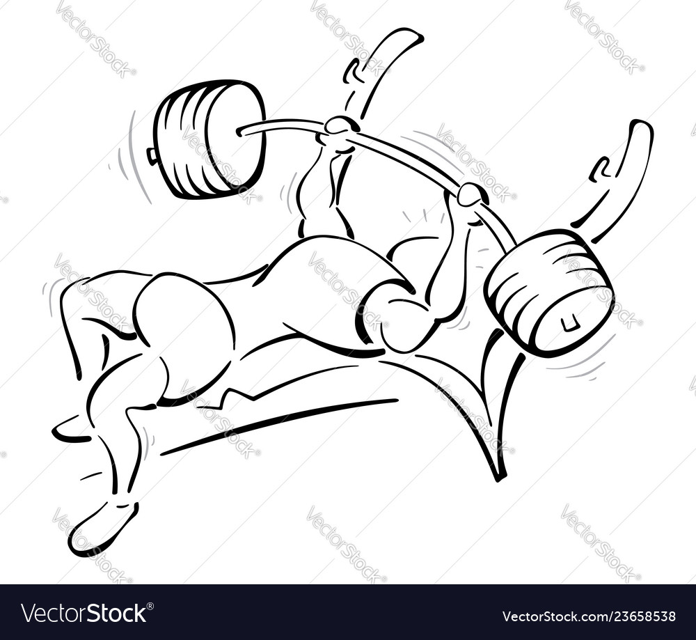 Weight lifting training in the gym vector image Weight lifting training in the gym