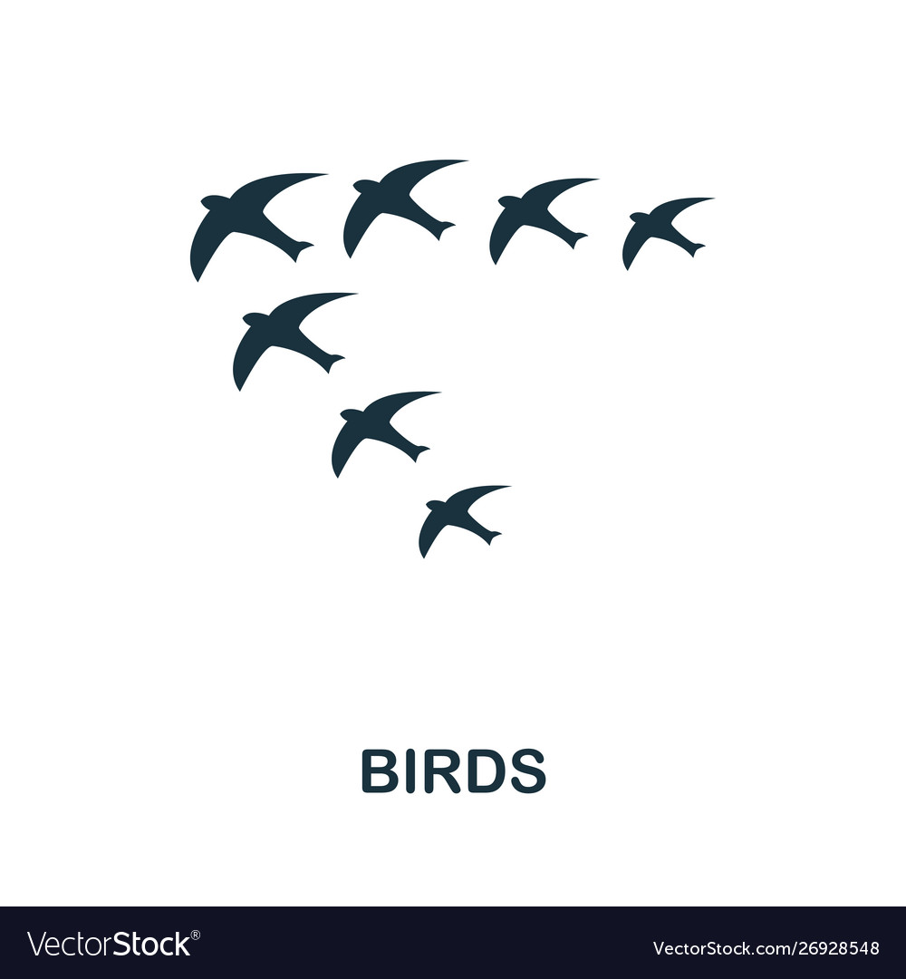 Birds icon symbol creative sign from icons