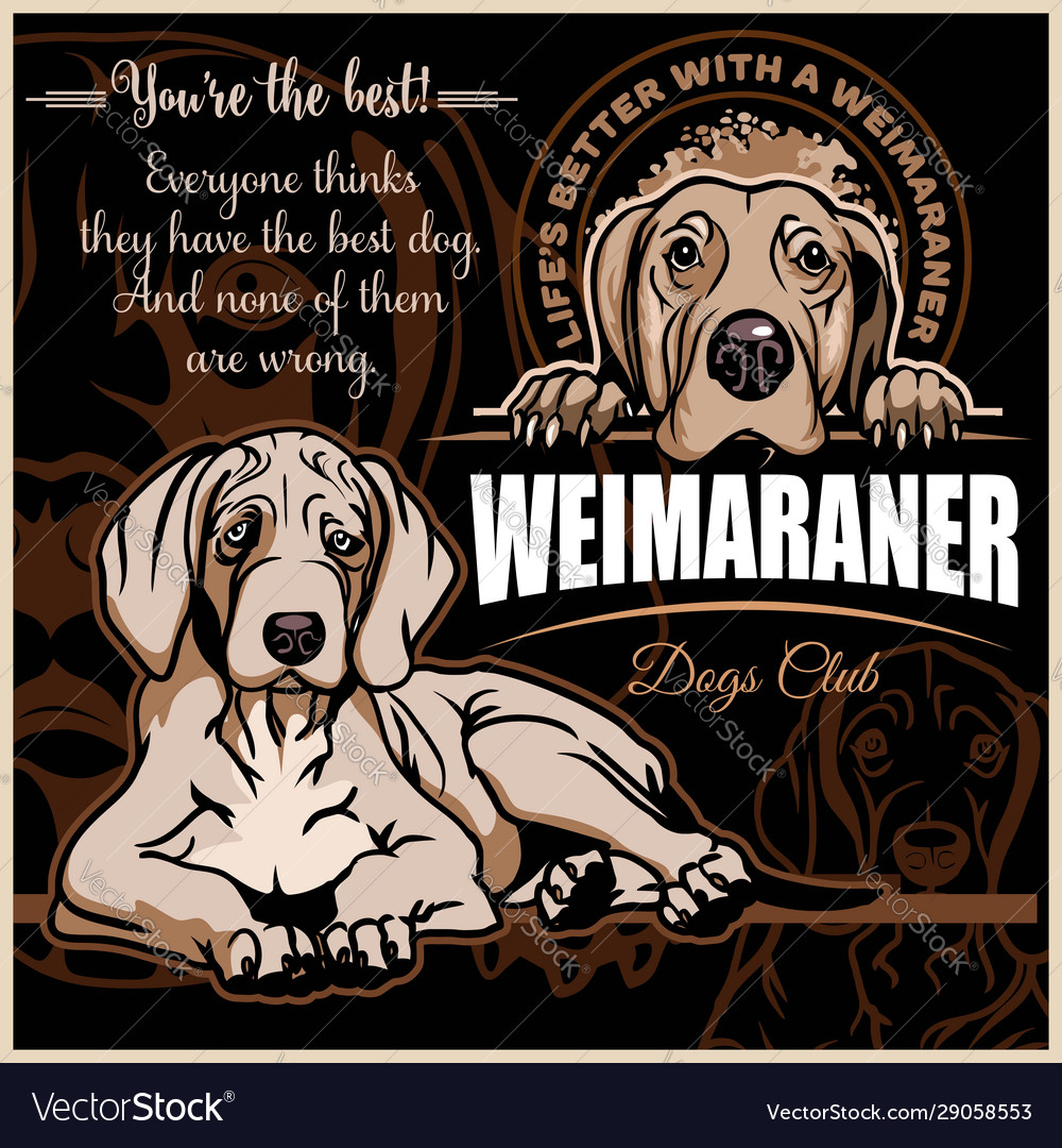 Elegant Weimaraner Set - Monochrome Logo