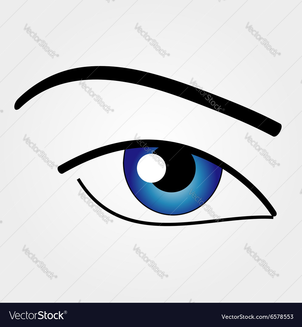 Human eye Royalty Free Vector Image - VectorStock