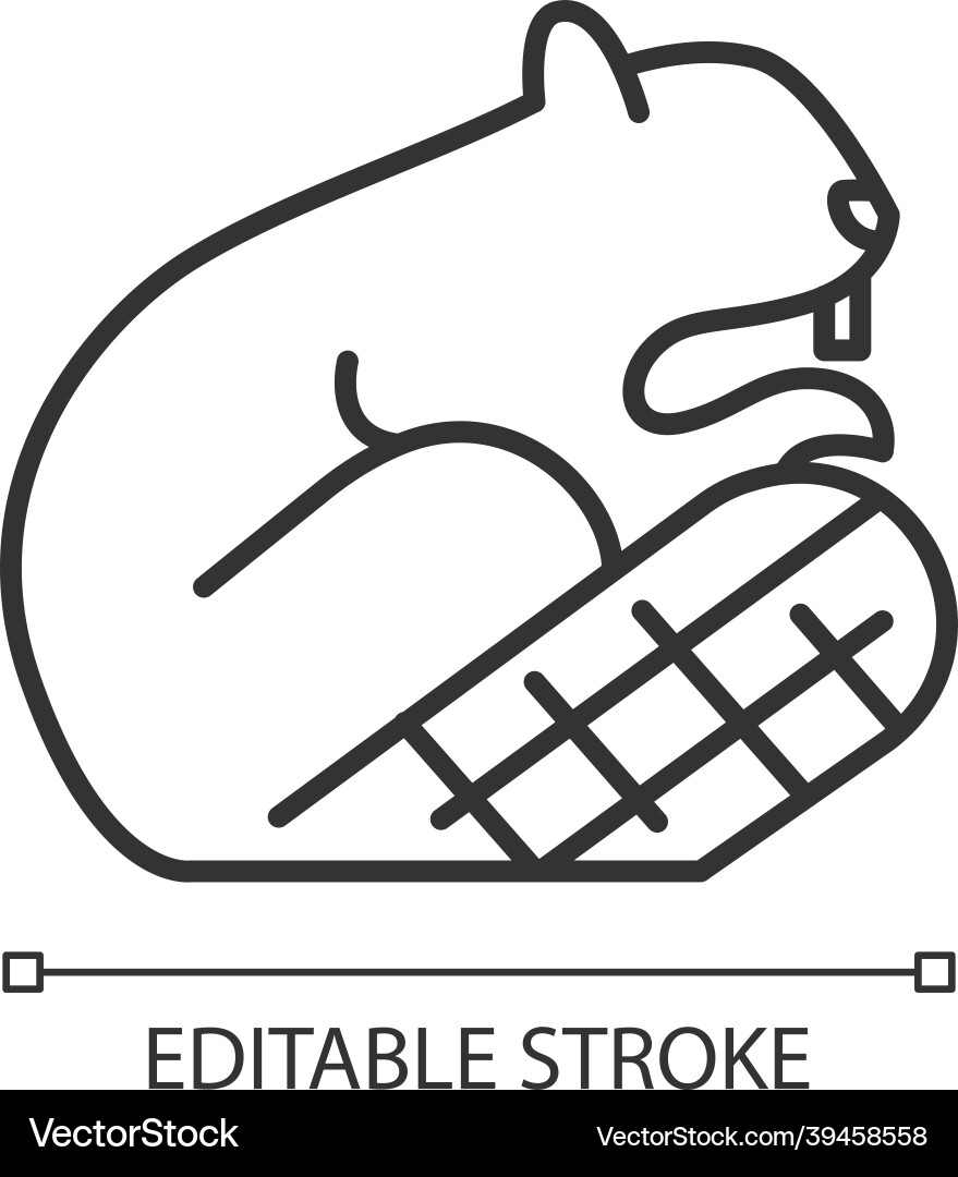 Beaver linear icon Royalty Free Vector Image - VectorStock