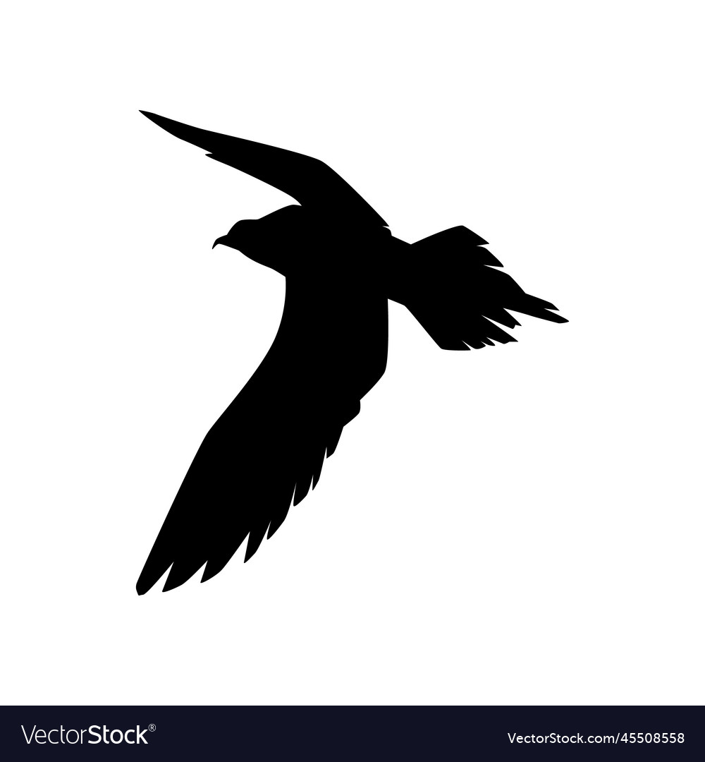 Flying arctic skua black silhouette - flat Vector Image