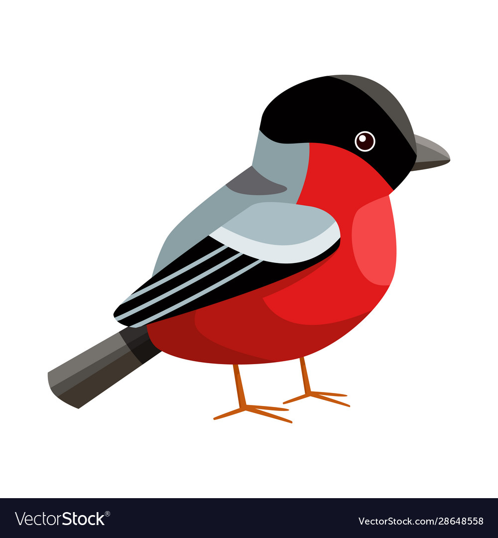 Isolated object bullfinch and bird logo set