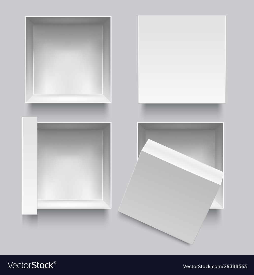 Realistic detailed 3d white blank top view box Vector Image