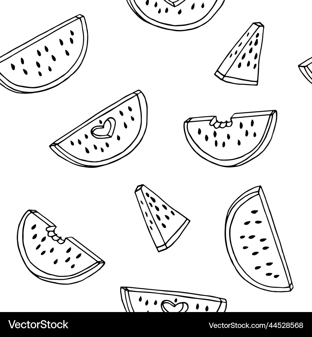 Watermelon seamless pattern hand drawn in doodle Vector Image