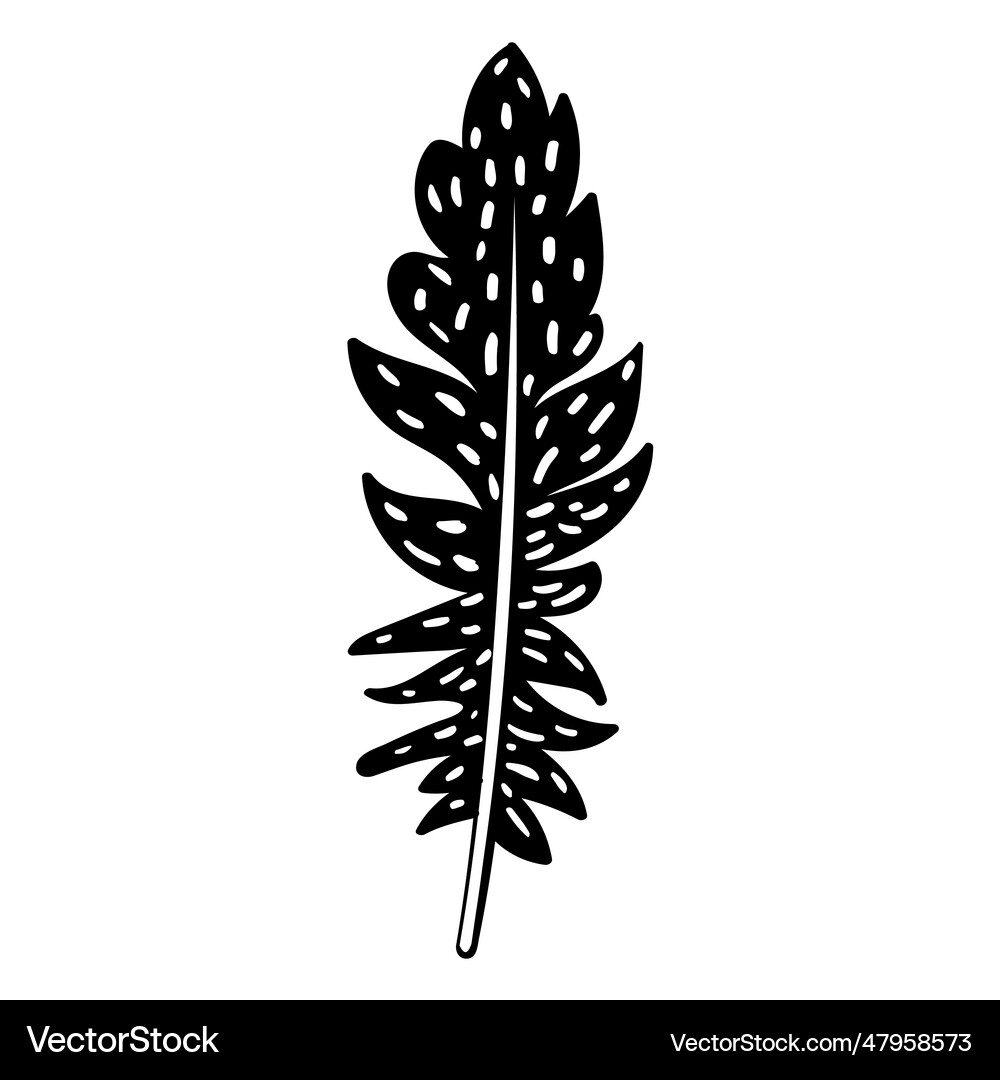 Boho indian feather Royalty Free Vector Image - VectorStock