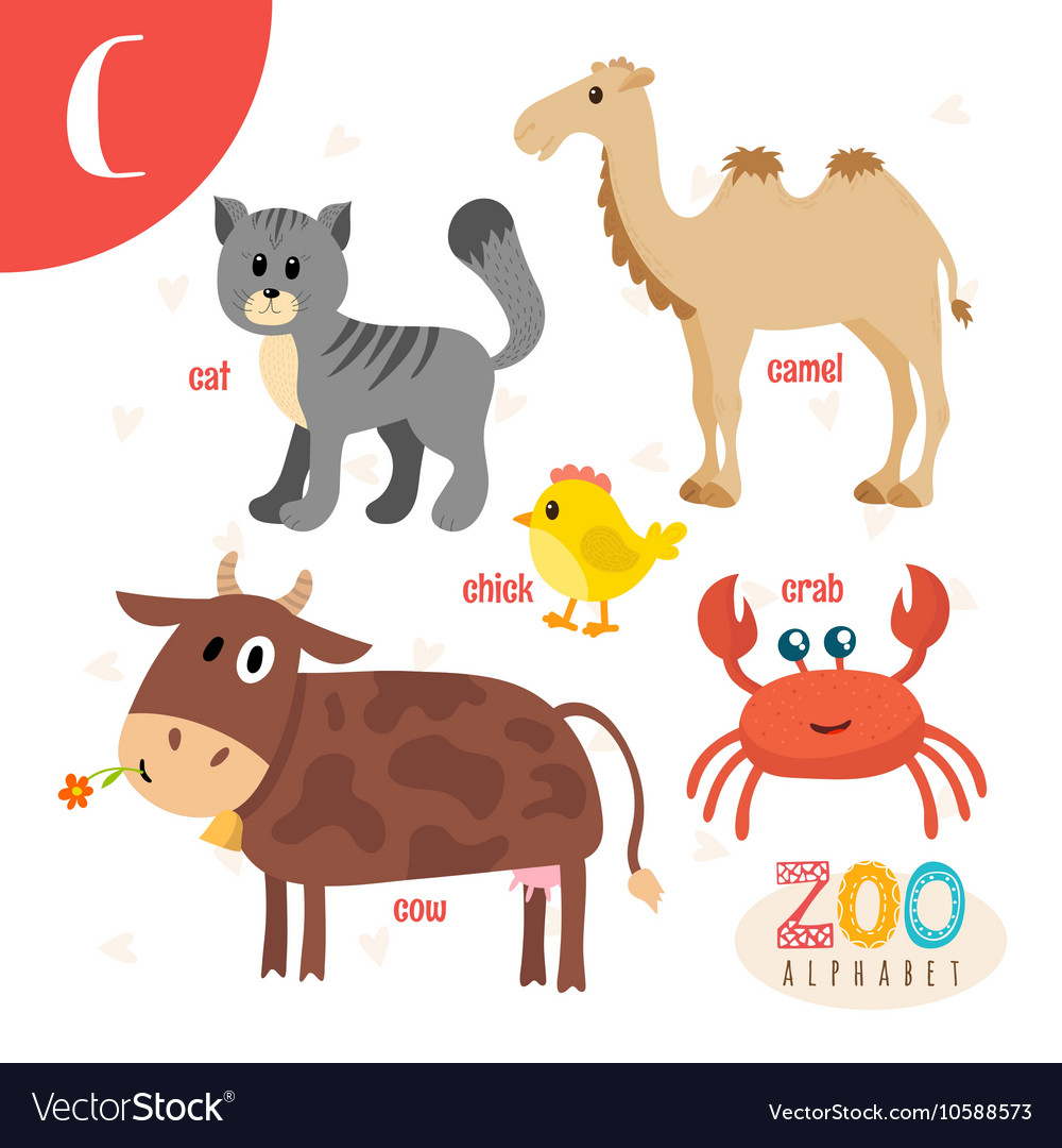 Letter c cute animals funny cartoon animals in Vector Image