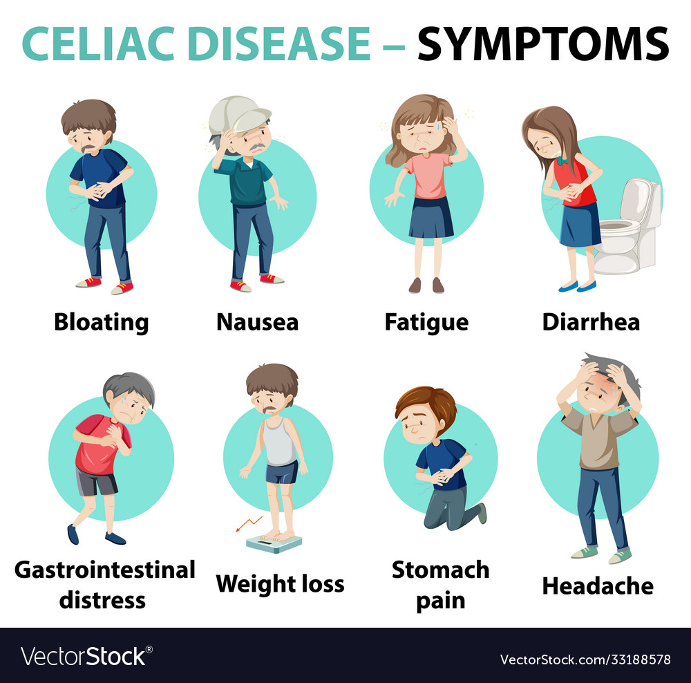 Celiac disease symptoms information infographic Vector Image