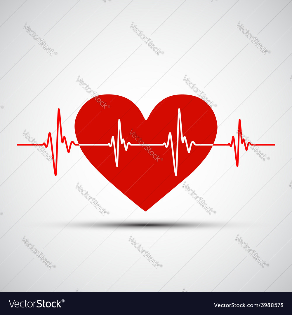 Image of the human heart and the encephalogram Vector Image