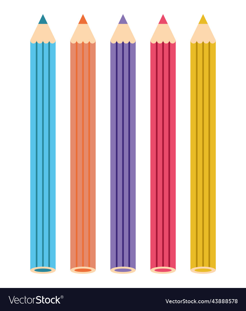 School color pencils Royalty Free Vector Image