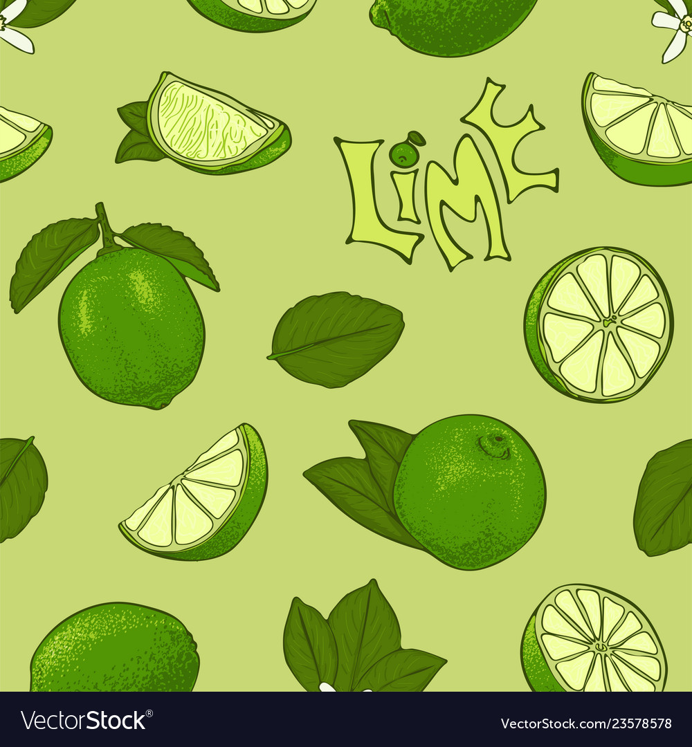 Seamless color pattern of lime symbols