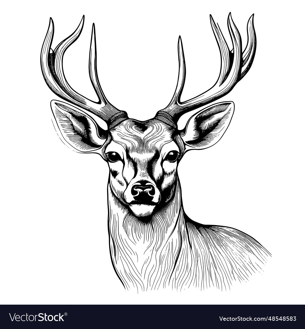 Graphic animal black and white Royalty Free Vector Image