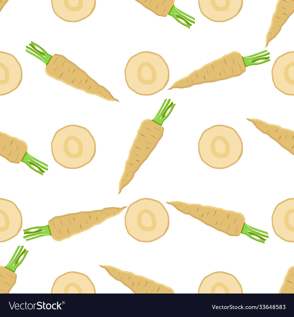 On theme pattern plant parsnip Vector Image On theme pattern plant parsnip