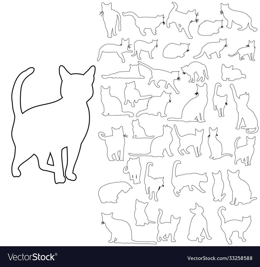 Cat outlines set