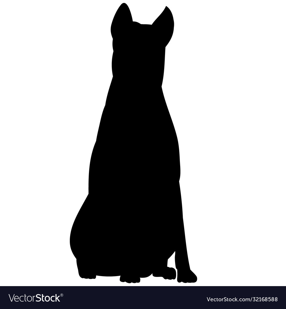 On a white background black silhouette dog