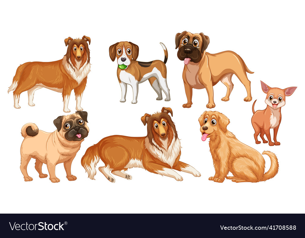 Set of different cute dogs in cartoon style Vector Image