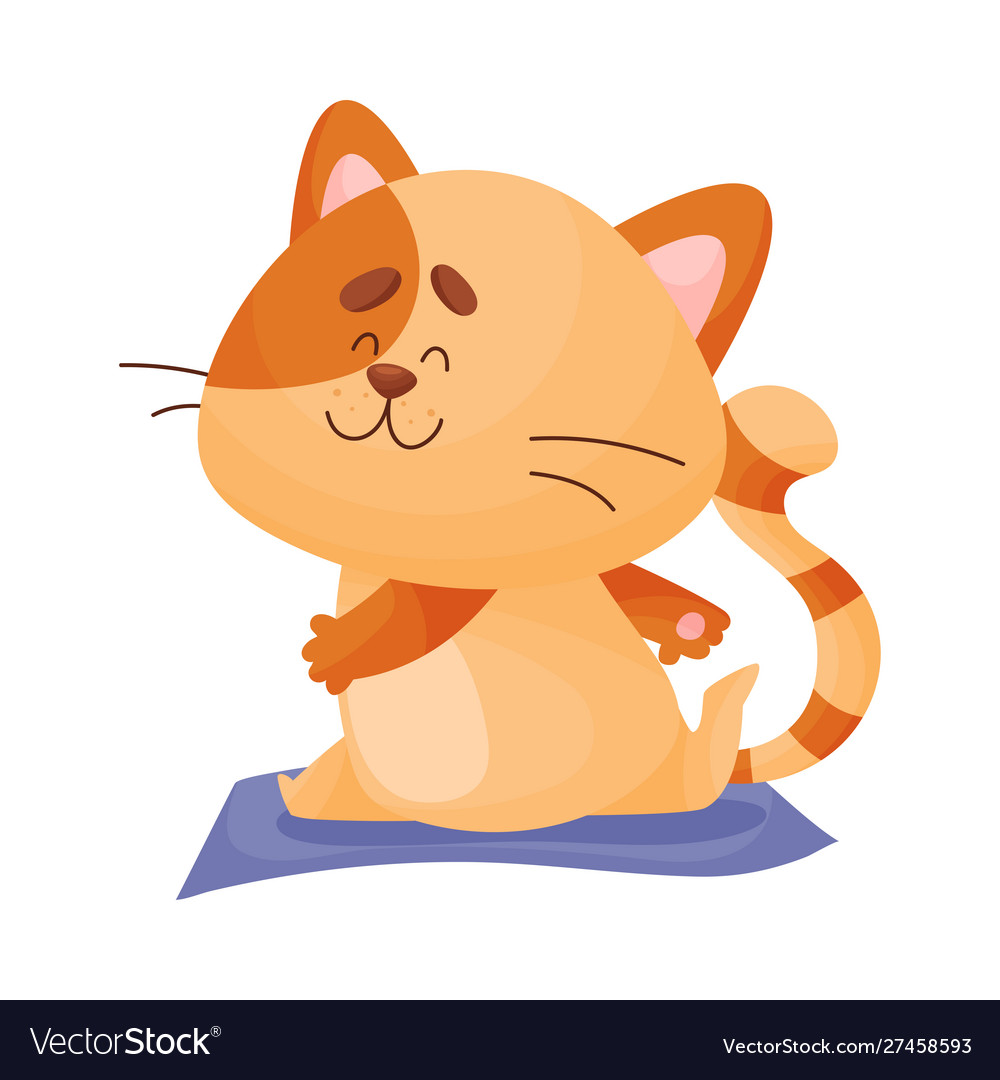 Cartoon cat yogi sits in twine Royalty Free Vector Image