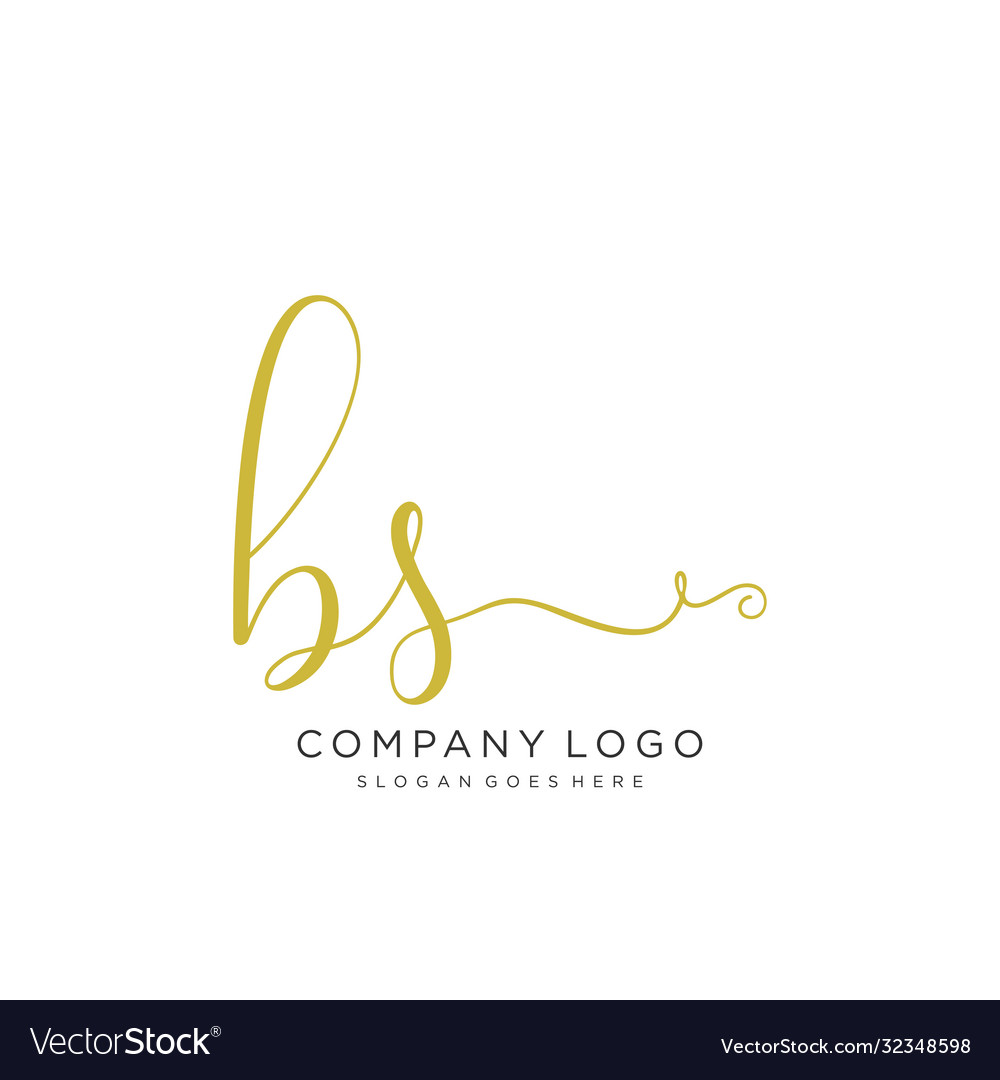 Bs initial handwriting logo design Royalty Free Vector Image