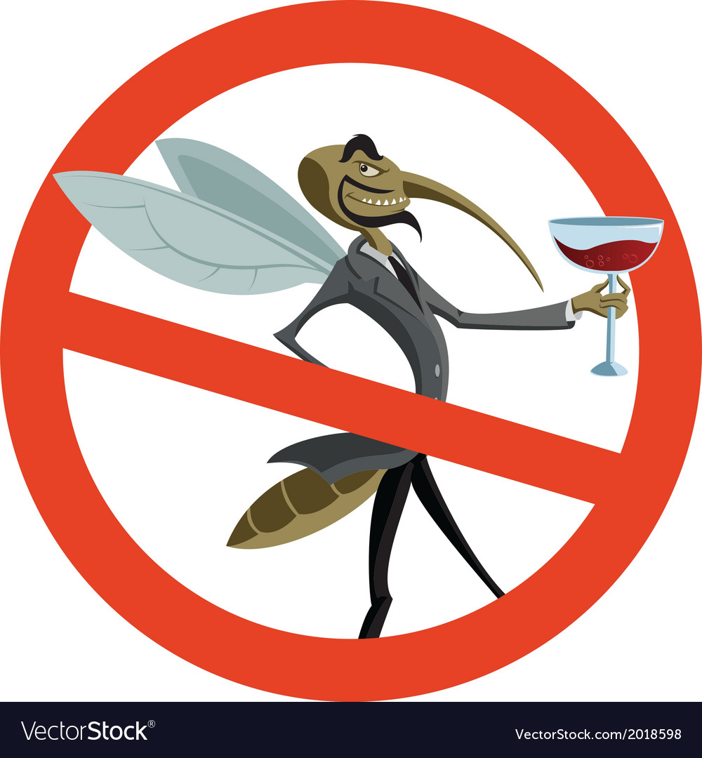 No mosquito