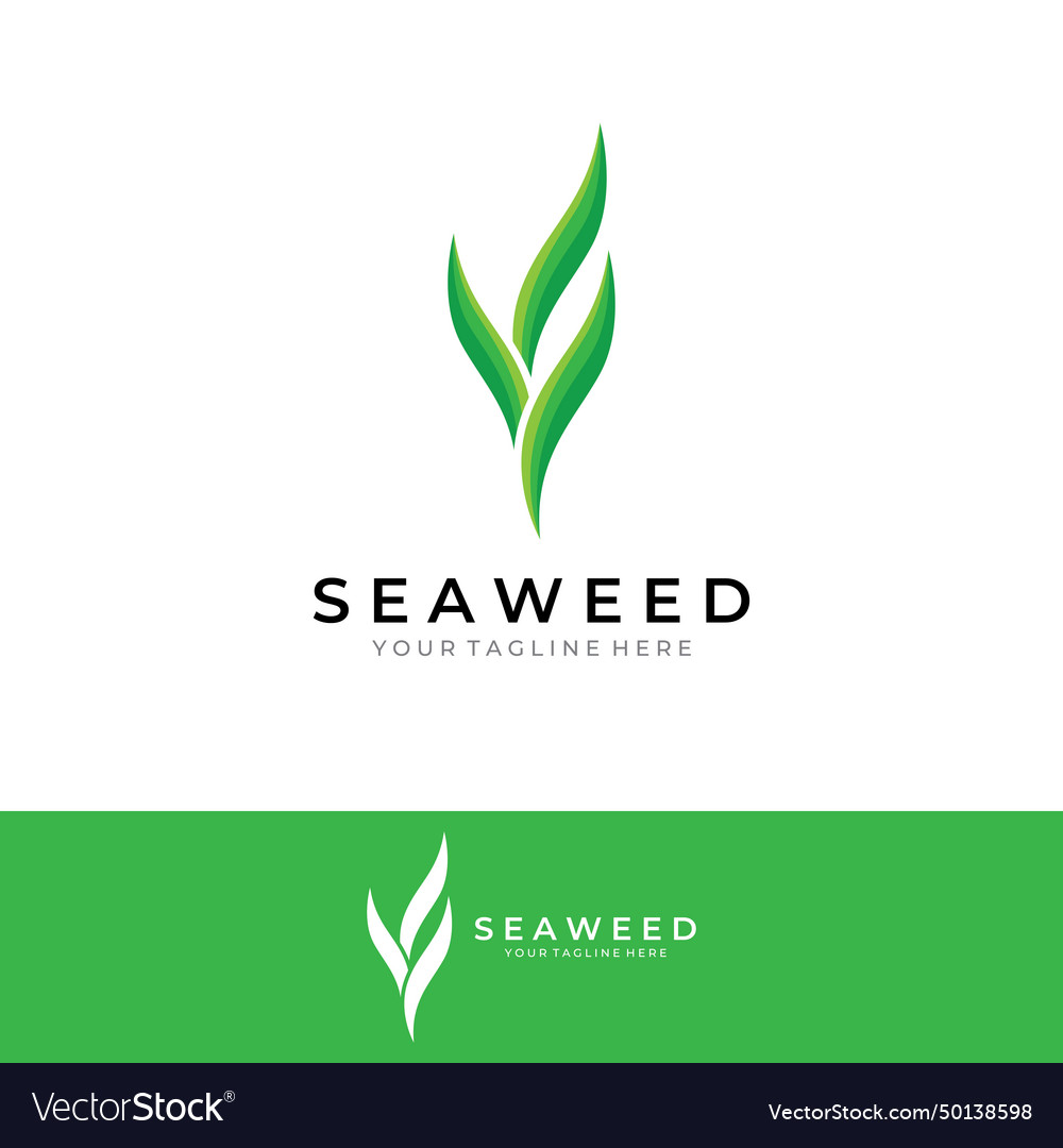 Seaweed logo with template design