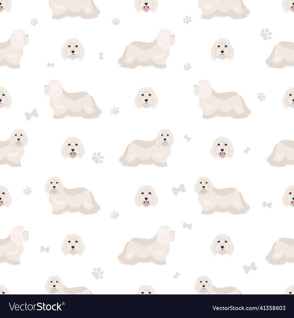Coton de tulear seamless pattern different poses vector image Coton de tulear seamless pattern different poses