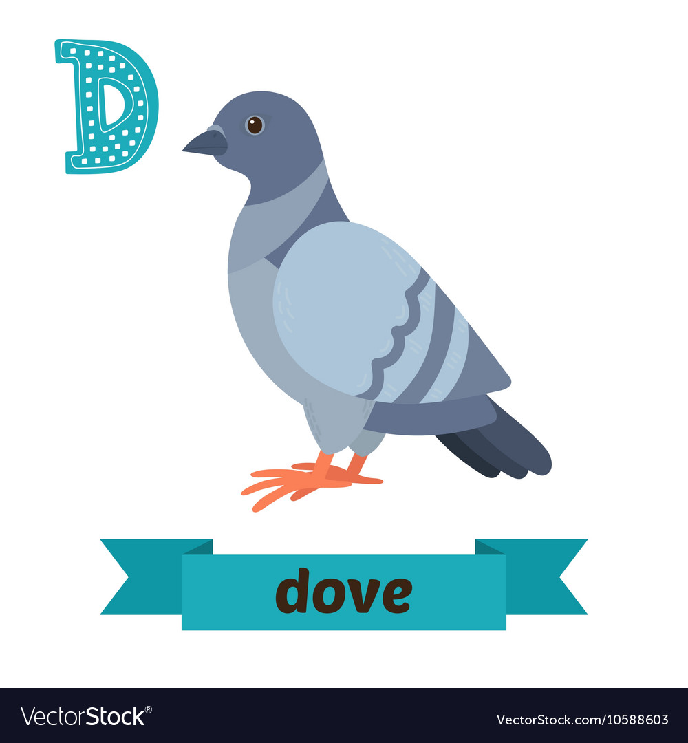 Dove d letter cute children animal alphabet Vector Image