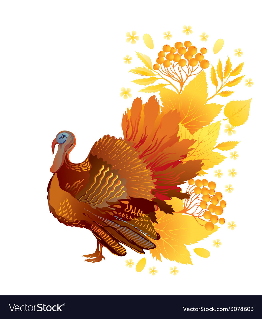 Thankgiving card with turkey