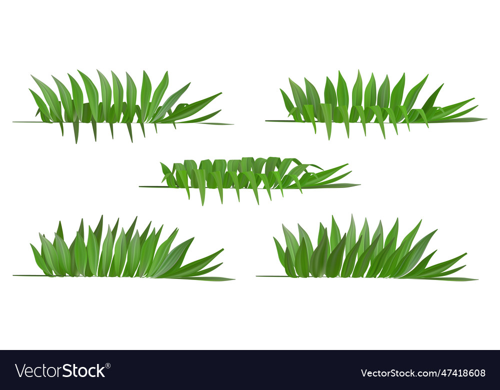 3d palm leaves as hawaiian aloha party banner fern