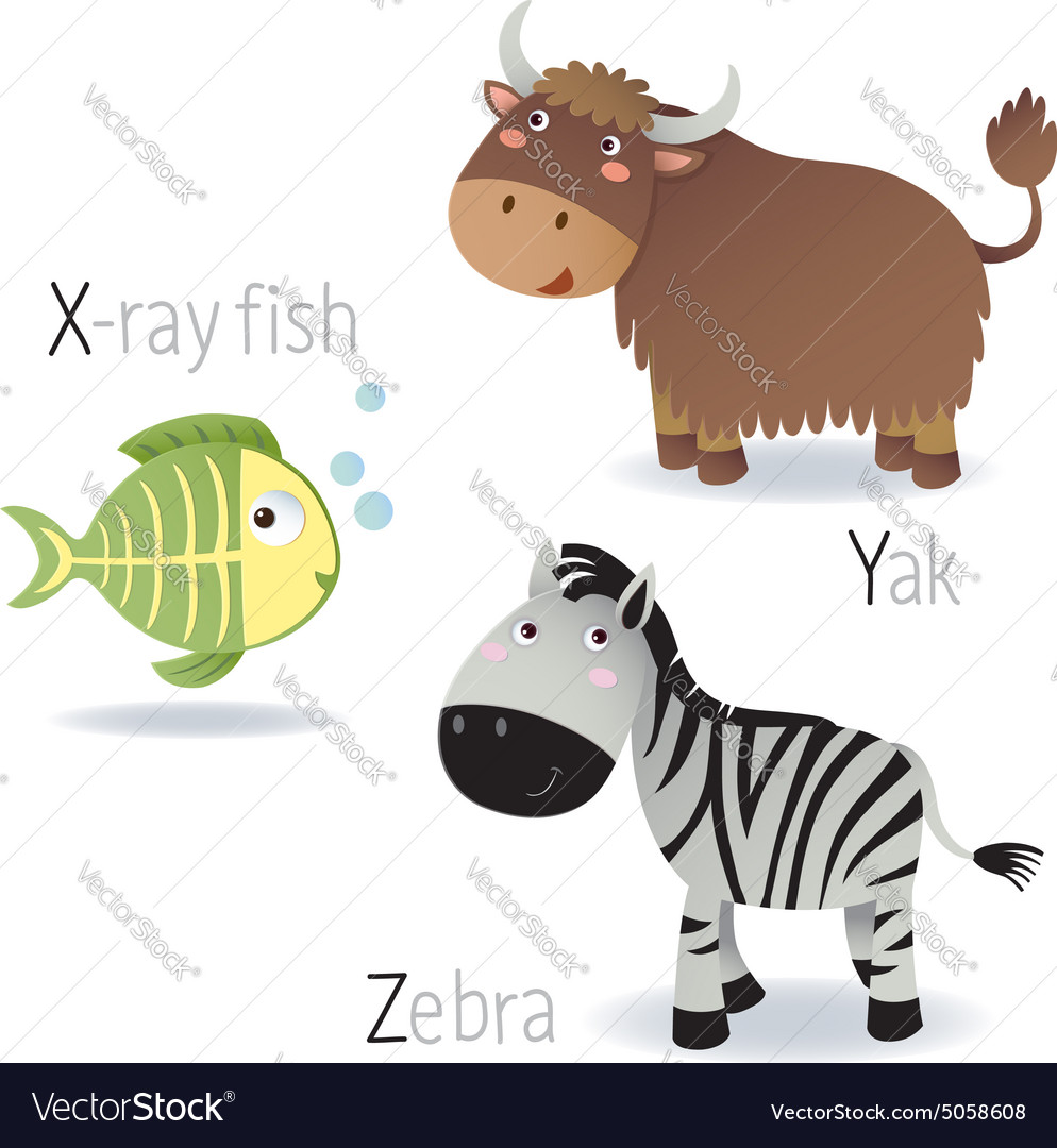 Alphabet With Animals From X To Z Royalty Free Vector Image