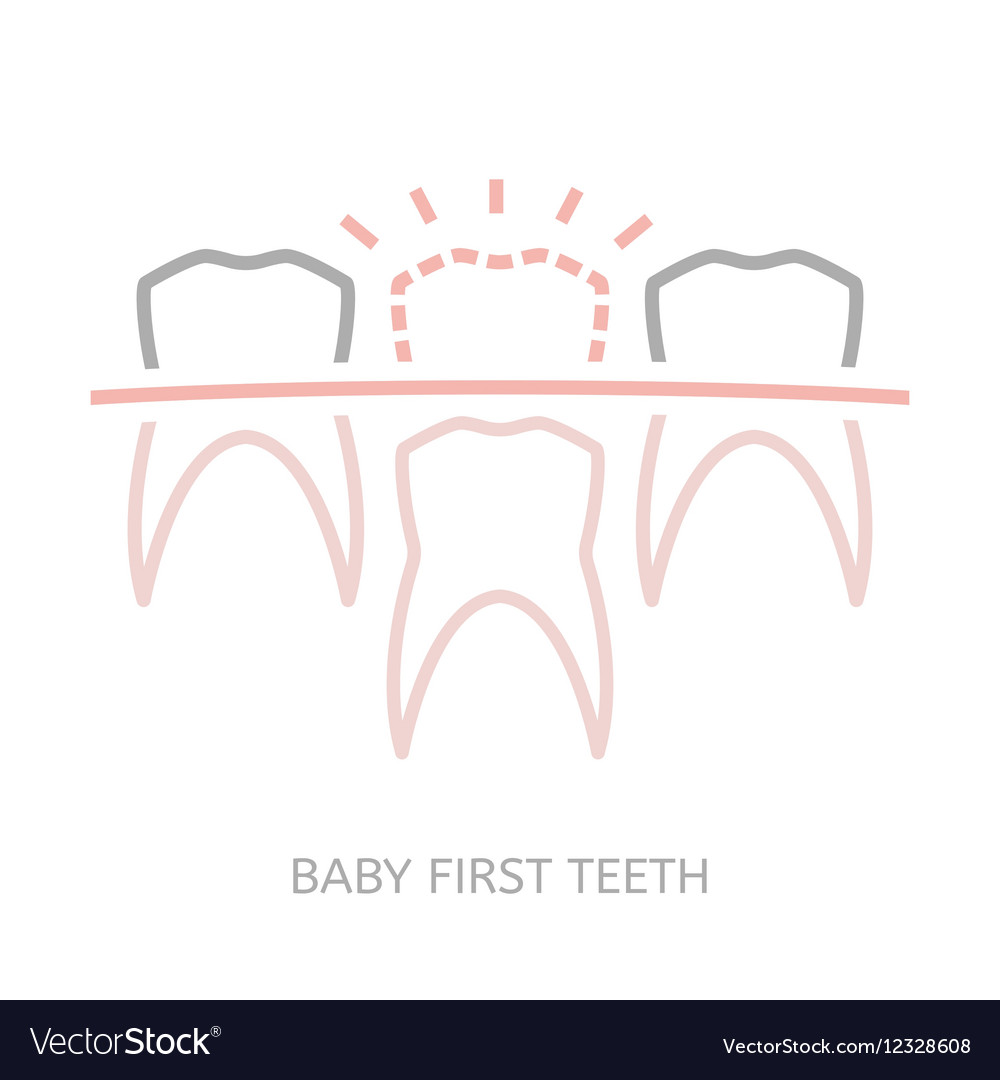 Baby first tooth