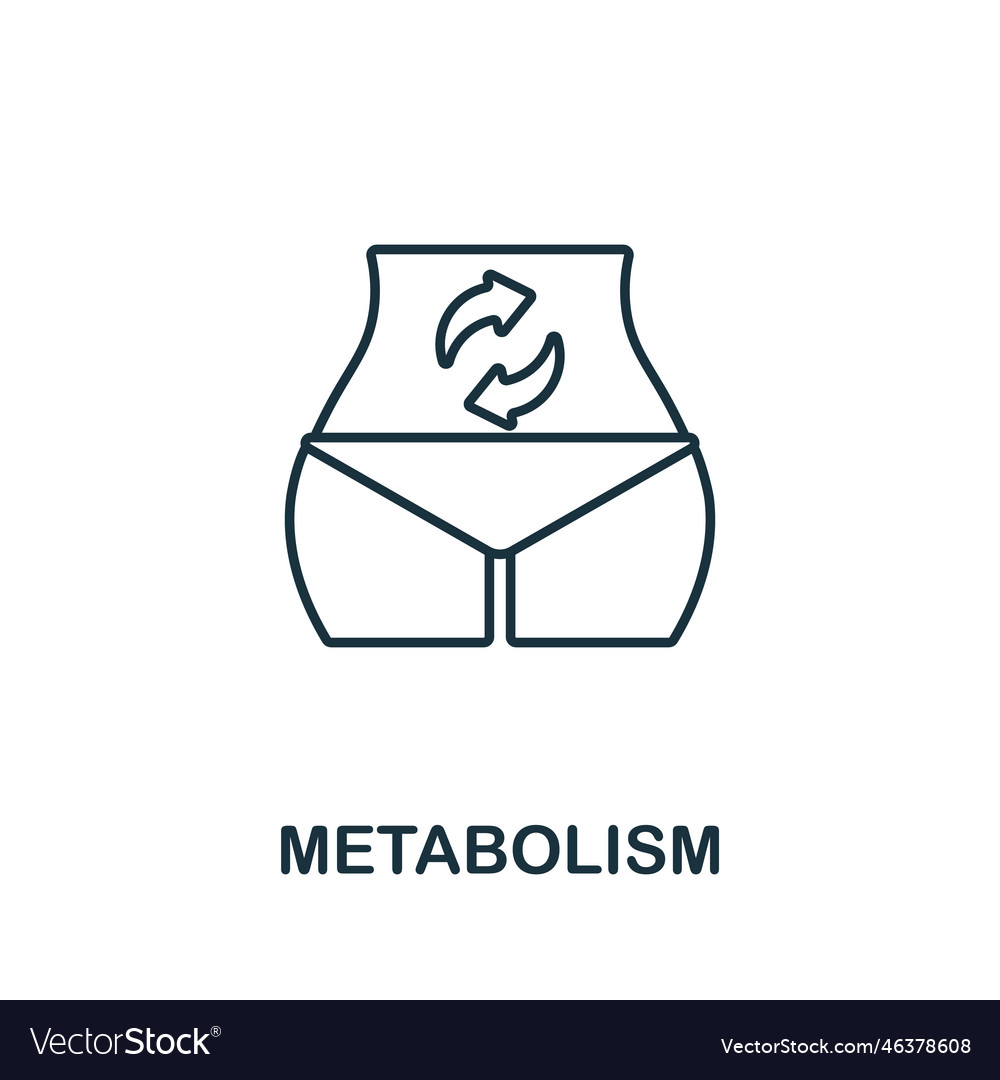 Metabolism line icon monochrome simple