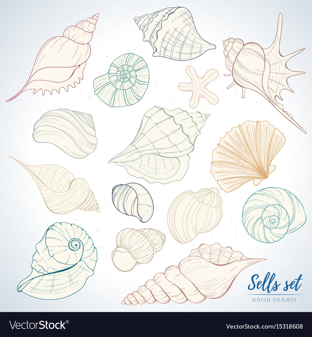 Seashell Paradies Urlaub Meer Set