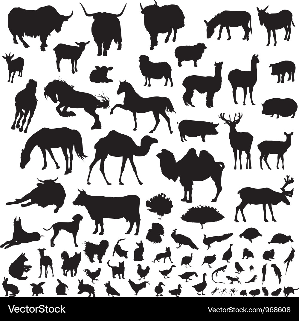 Silhouettes animals Royalty Free Vector Image - VectorStock