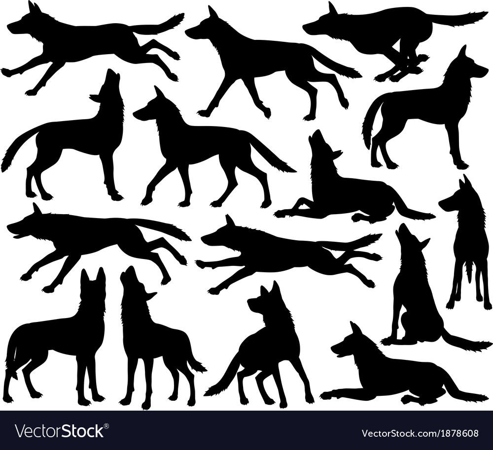 Wolf silhouettes Royalty Free Vector Image - VectorStock